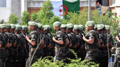مجلس الأمة الجزائري صادق على نشر قوات مسلحة في النيجر