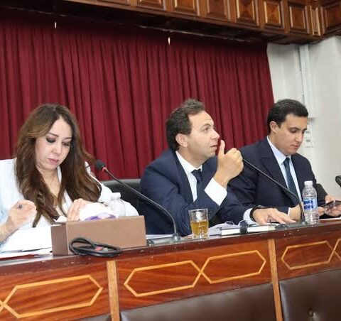 بعد استقالة الرميلي.. فتح باب الترشيح لرئاسة مجموعة الجماعات الترابية للتوزيع